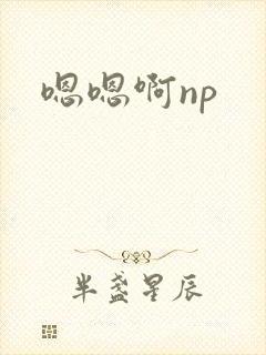 嗯嗯啊np