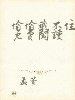 偷偷藏不住小说免费阅读