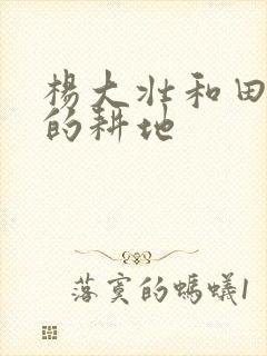 杨大壮和田桂花的耕地