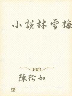 小说林雪梅封面