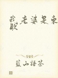 我老婆是东方不败