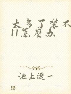 太多了装不下h11怎么办封面