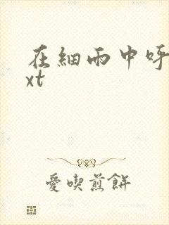 在细雨中呼喊txt