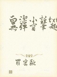 白洁小说txt无弹窗笔趣阁封面