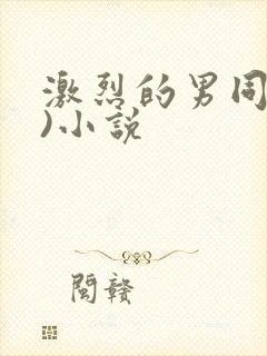 激烈的男同(h)小说