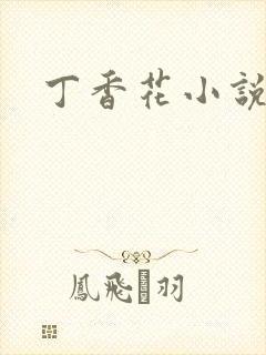 丁香花小说