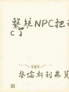 系统NPC把我c了