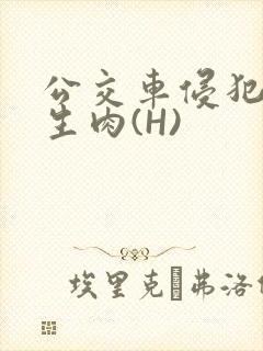 公交车侵犯小男生肉(H)