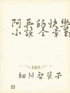 阿兵的快乐生活小说 全章节阅读免费