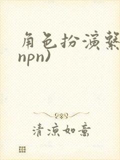 角色扮演系统(npn)