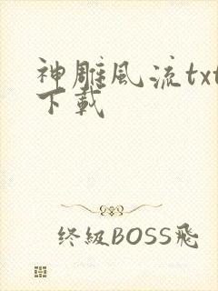 神雕风流txt下载
