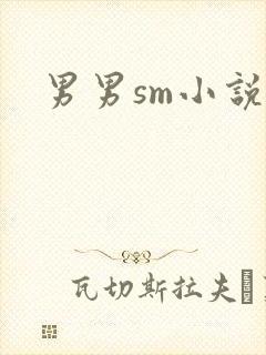 男男sm小说