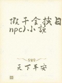 假千金挨日记(npc)小说
