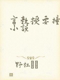 言教授要撞坏了小说封面