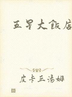 五星大饭店小说