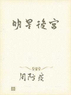 明星后宫