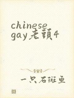 chinesegay老头4