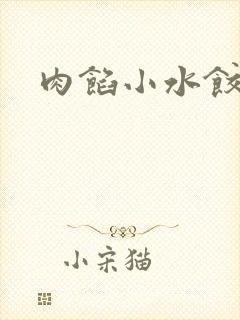 肉馅小水饺po封面