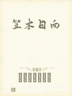 笠木日向封面