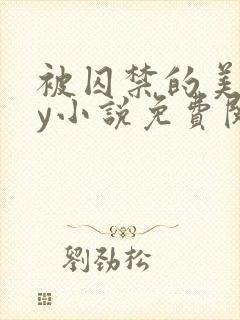 被囚禁的美人by小说免费阅读