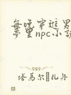 每晚穿进男神的梦里npc小说
