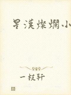 星汉灿烂小说