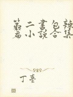 第二书包辣网短篇小说合集封面