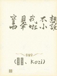 宝贝我不想带小雨伞啦小说封面