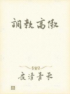 调教高傲