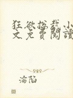 狂欲总裁小说全文免费阅读