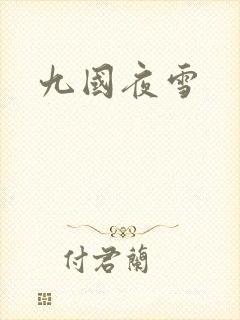 九国夜雪封面