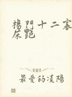 杨门十二寡妇肉床艳