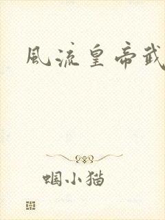 风流皇帝武则天封面