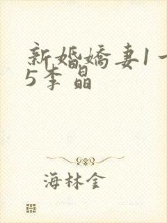 新婚娇妻1一25李晶封面