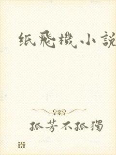 纸飞机小说