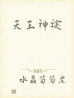 天王神途
