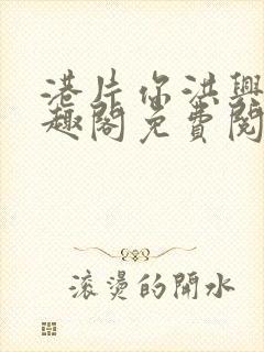 港片你洪兴仔笔趣阁免费阅读全文封面