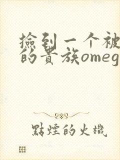 捡到一个被抹布的贵族omega