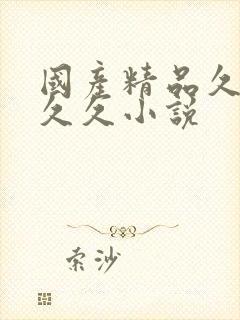 国产精品久久久久久小说