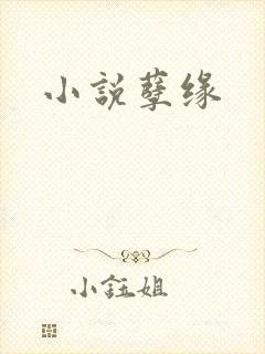 小说孽缘