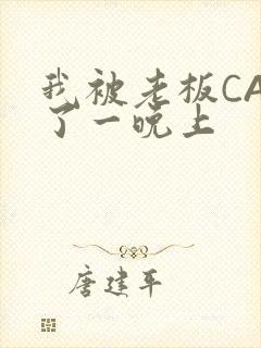 我被老板CAO了一晚上封面