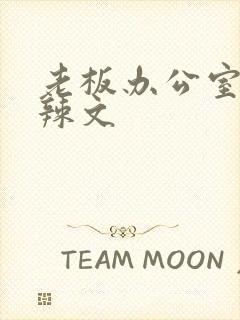 老板办公室系列辣文