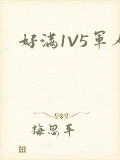 好满1V5军人