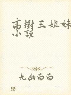 高树三姐妹有声小说封面