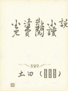 小清欢小说全文免费阅读封面