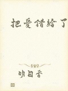把爱错给了你