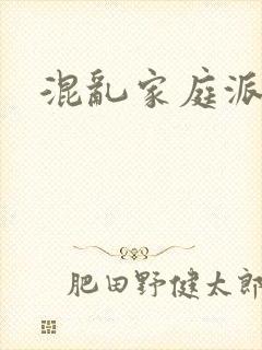 混乱家庭派对封面