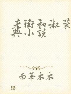 老卫和淑荣的经典小说封面