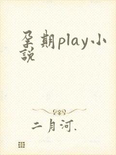 孕期play小说