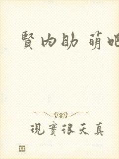 贤内助 萌吧啦封面